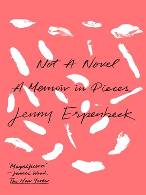 cover image of Not a Novel